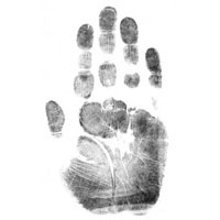 Biometric Attendance